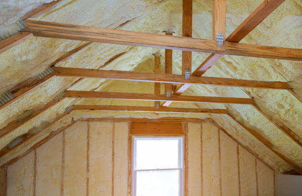 Best Insulation Removal Services  in USA