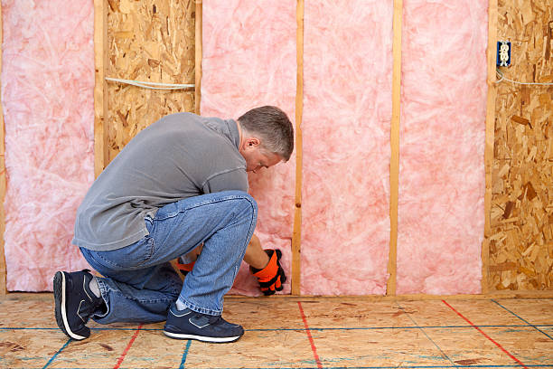 Best Insulation Inspection Services  in USA